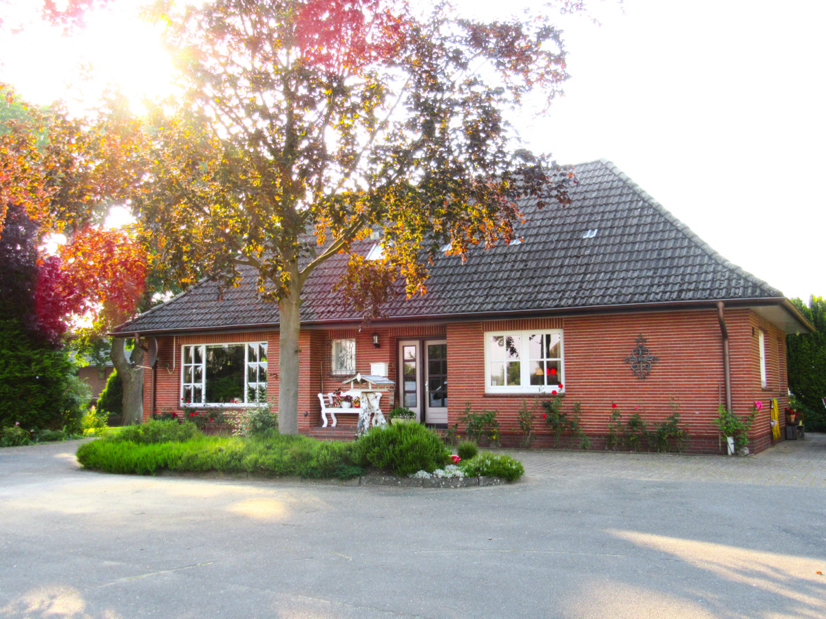 Wunderschönes Ensemble aus Walmdach-Bungalow,  Reetdach-Scheune und Weidefläche  in ruhiger Lage